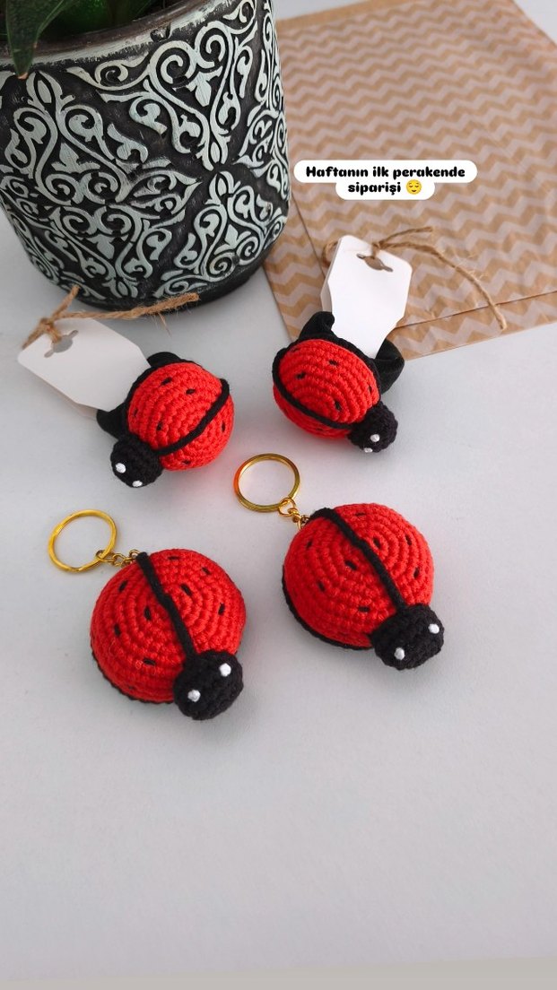 uğur böceği anahtarlık - Görsel 2