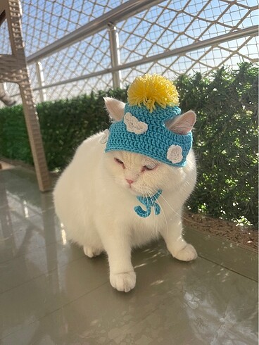 Beden Renk KEDİ ŞAPKALARI