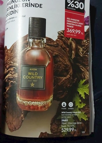 Avon Wild Country Erkek Parfümü - Görsel 2