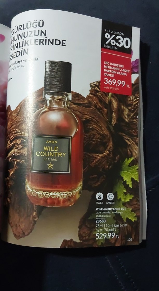Avon Wild Country Erkek Parfümü - Görsel 2