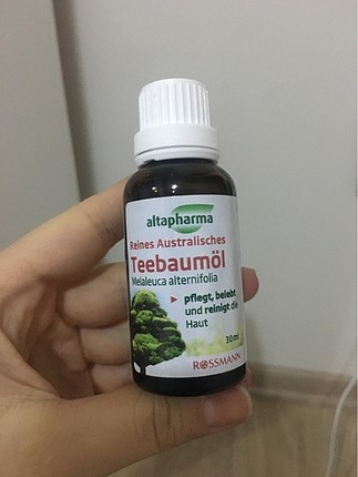 Çay ağacı yağı