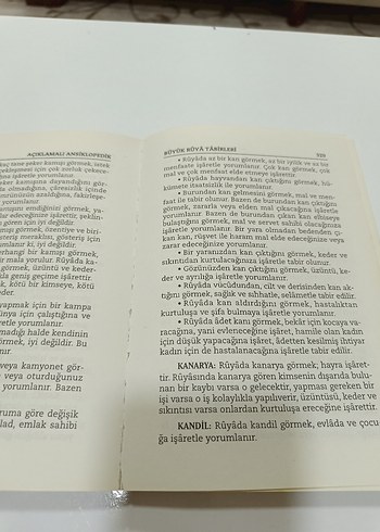 Büyük Rüya Tabirleri Kitabı - Görsel 7