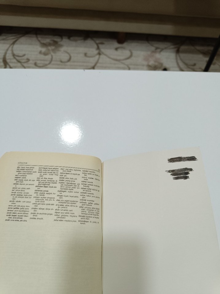 Risale-i Nur Külliyatından Asa-yı Musa - Görsel 4