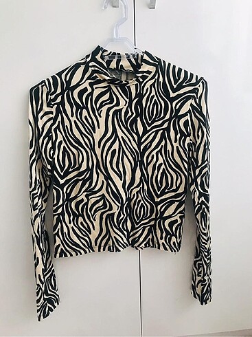 Zebra desen bady
