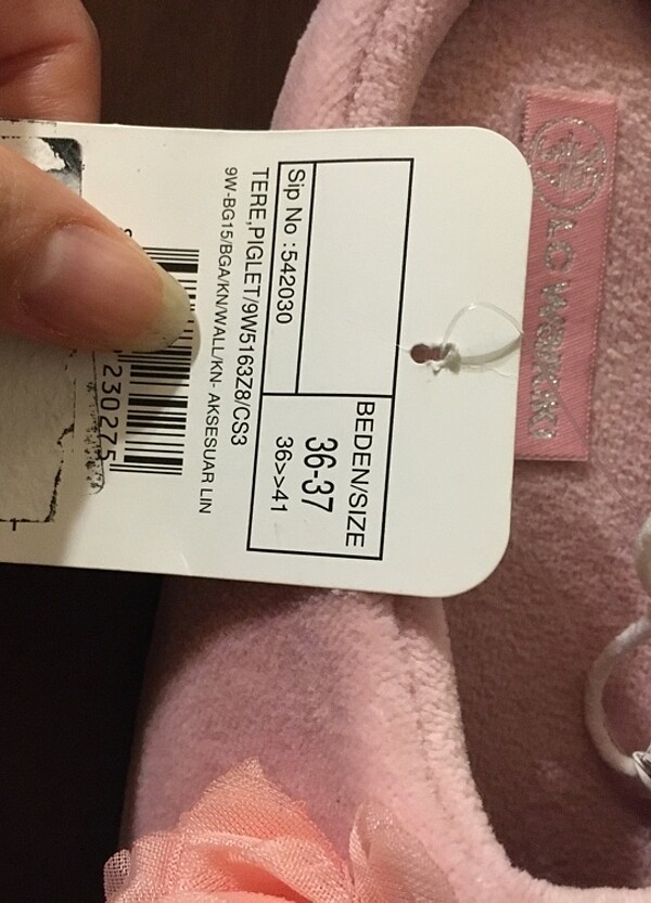 LC WAİKİKİ  Ev Terliği - Görsel 3