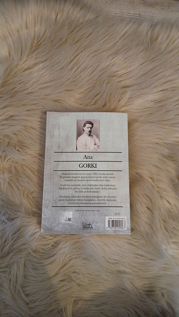 Gorki - Ana Romanı - Görsel 2