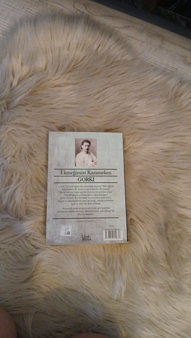 Gorki - Ekmeğimi Kazanırken Romanı - Görsel 2