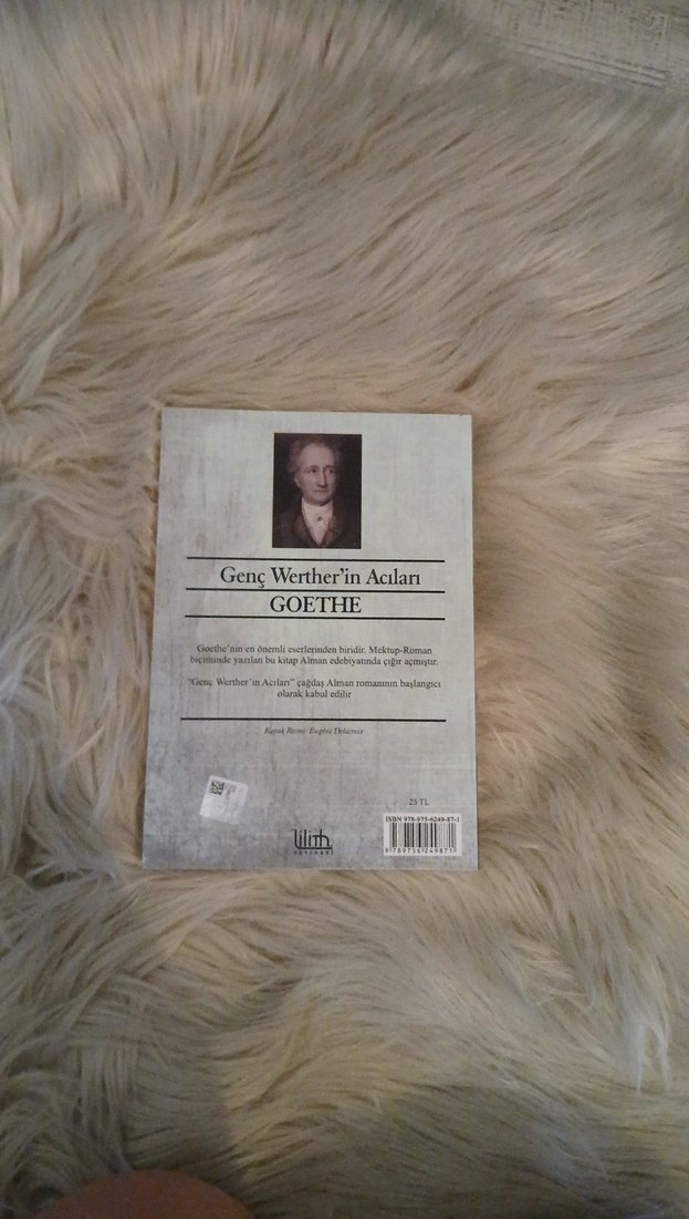 Genç Werther'in Acıları - Goethe - Görsel 2