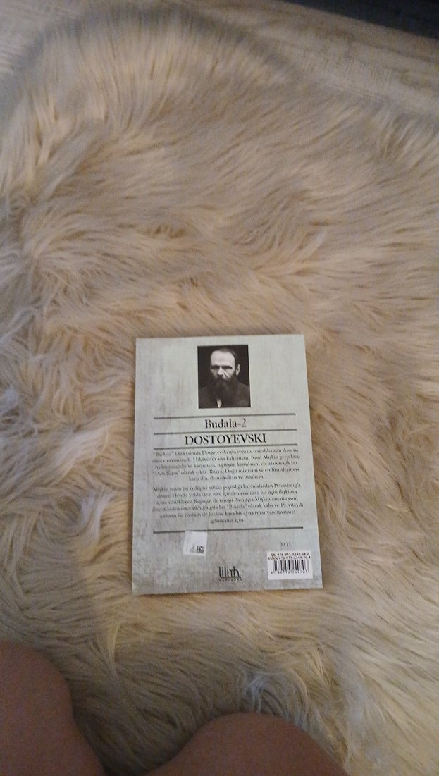 Dostoyevski - Budala Romanı - Görsel 2