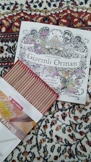 Gizemli orman mandala ve 24x kuru boya