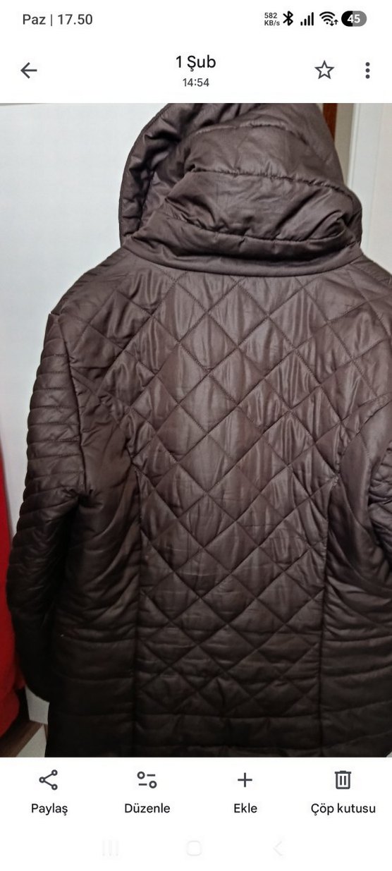 Kahverengi Kapüşonlu Fermuarlı Kadın Mont - Görsel 4