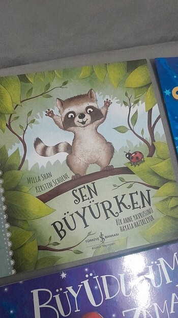 Beden 4 adet