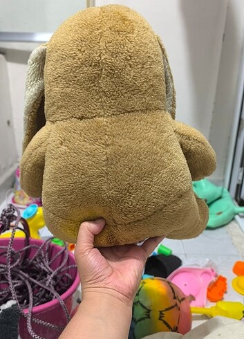 Köpek ????
