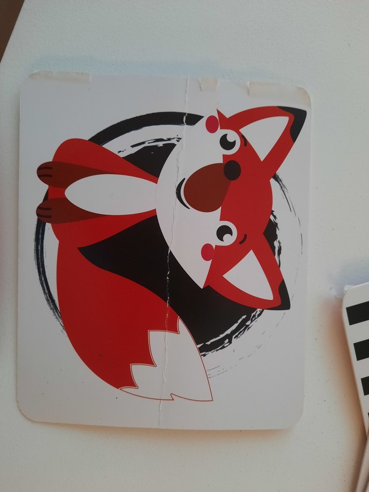 Tummy Time Karın Üstü Aktivite ve Zeka Kartları - Görsel 5