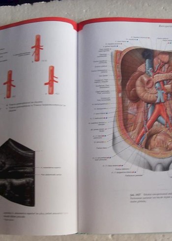 SOBOTTA İNSAN ANATOMİSİ ATLASI 2. CİLT - Görsel 2