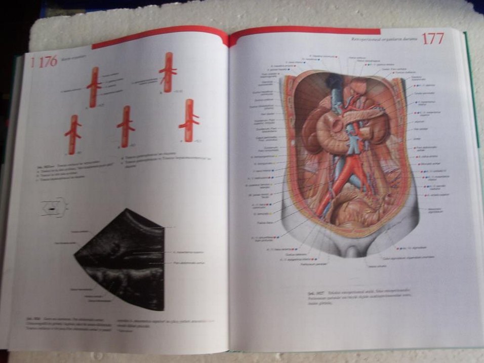 SOBOTTA İNSAN ANATOMİSİ ATLASI 2. CİLT - Görsel 2