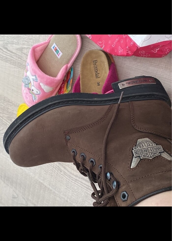 harley davıdson - Görsel 2