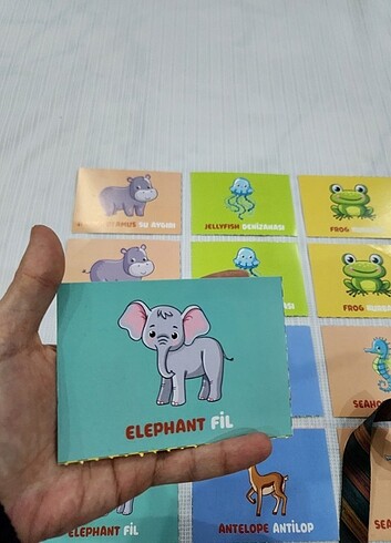 40 ADET HAFIZA KARTI İNGİLİZCE HAYVANLAR - Görsel 2