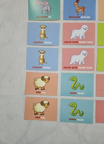 40 ADET HAFIZA KARTI İNGİLİZCE HAYVANLAR - Görsel 3