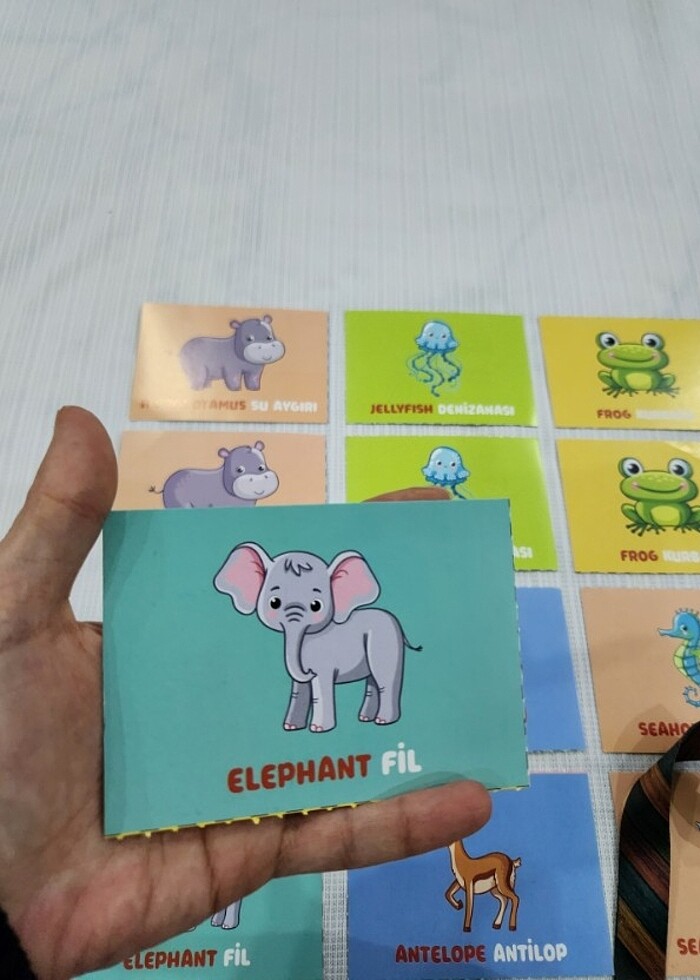 40 ADET HAFIZA KARTI İNGİLİZCE HAYVANLAR - Görsel 2