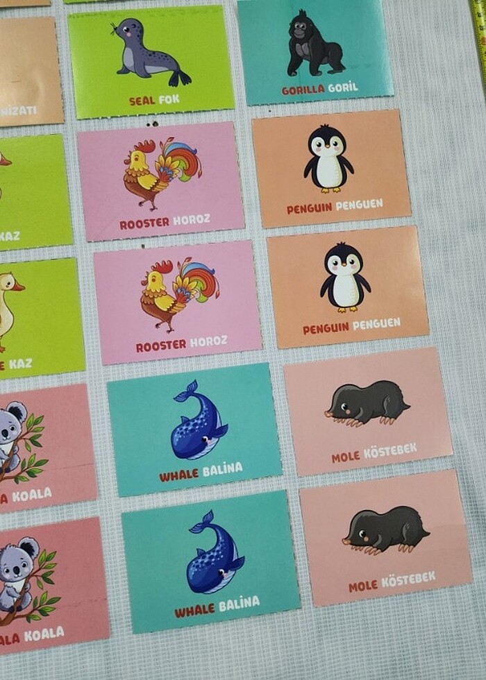 40 ADET HAFIZA KARTI İNGİLİZCE HAYVANLAR - Görsel 4