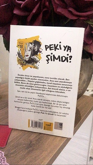  Pucca ( peki yA şimdi )