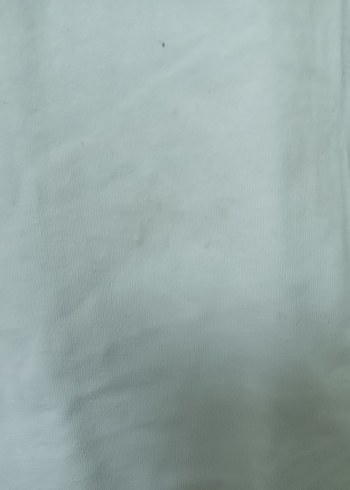 Gant GANT Erkek Beyaz Baskılı Kısa Kollu Tişört