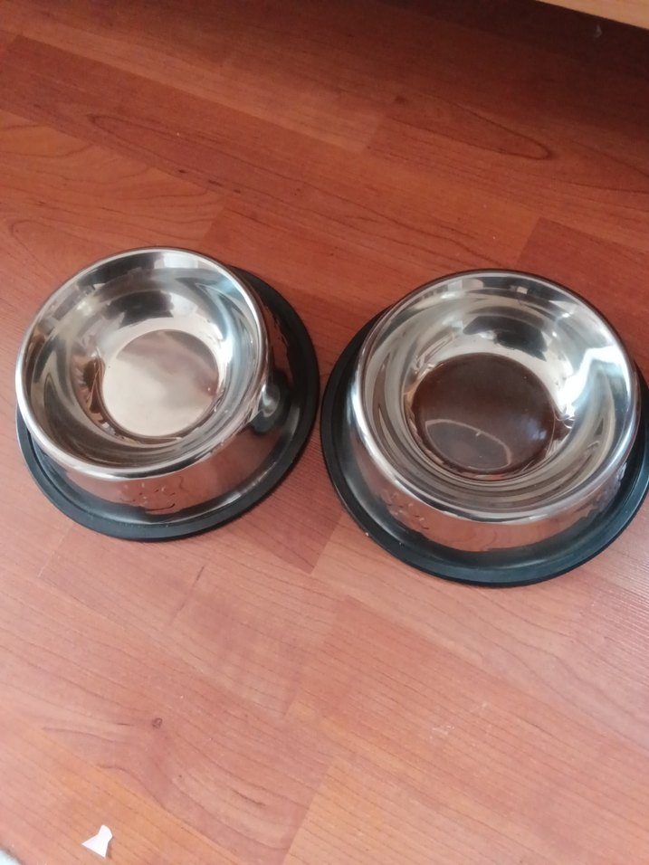 Kaymaz Tabanlı Çelik Mama Kabı - Görsel 3