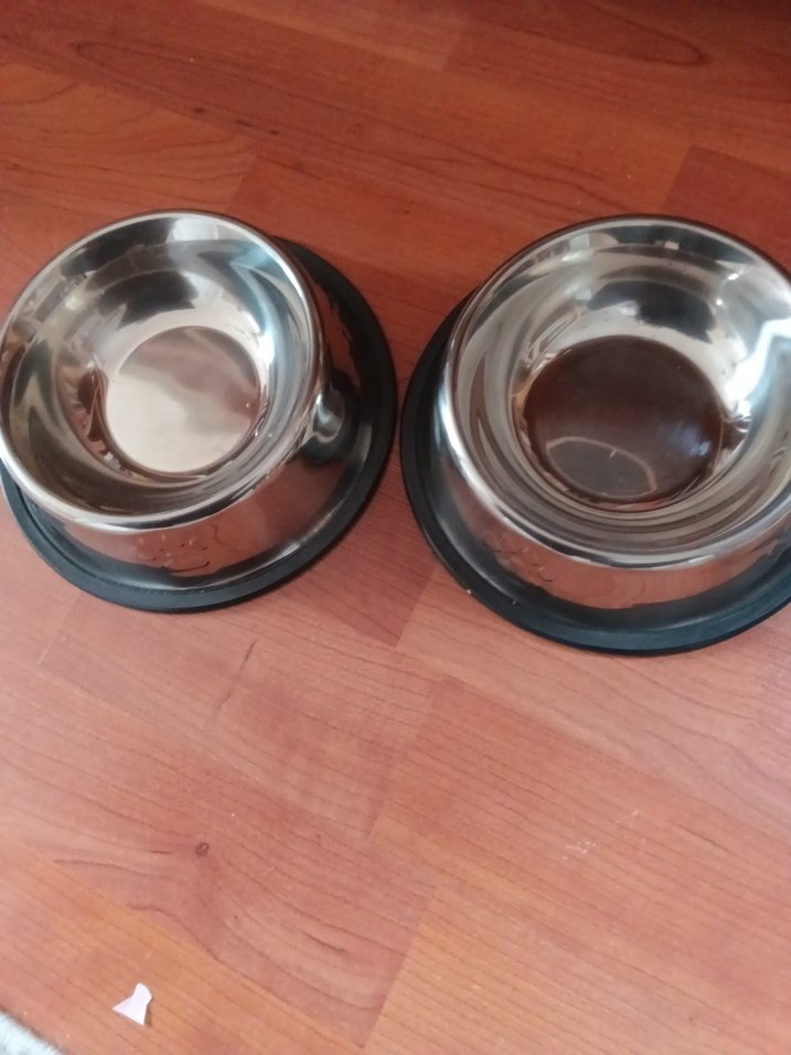 Kaymaz Tabanlı Çelik Mama Kabı - Görsel 2