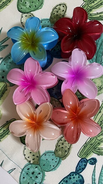 Lotus toka ????