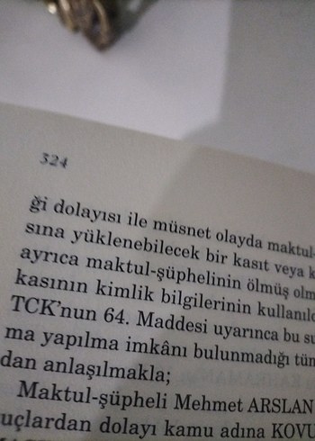 Kardeşimin Hikayesi - Zülfü Livaneli - Görsel 6