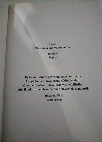 Kardeşimin Hikayesi - Zülfü Livaneli - Görsel 8
