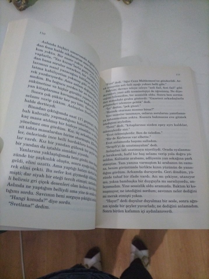 Kardeşimin Hikayesi - Zülfü Livaneli - Görsel 4