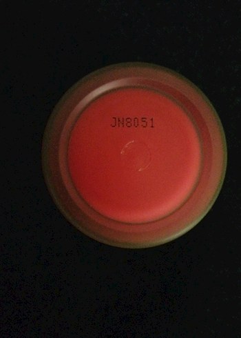 LANEIGE Karpuz Kokulu Dudak Maskesi 20g - Görsel 7