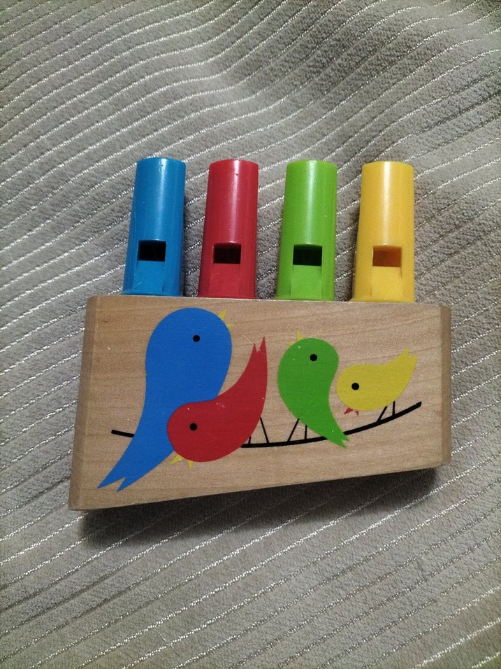 Renkli Kuş Figürlü Ahşap Müzikli Oyuncak - Görsel 2