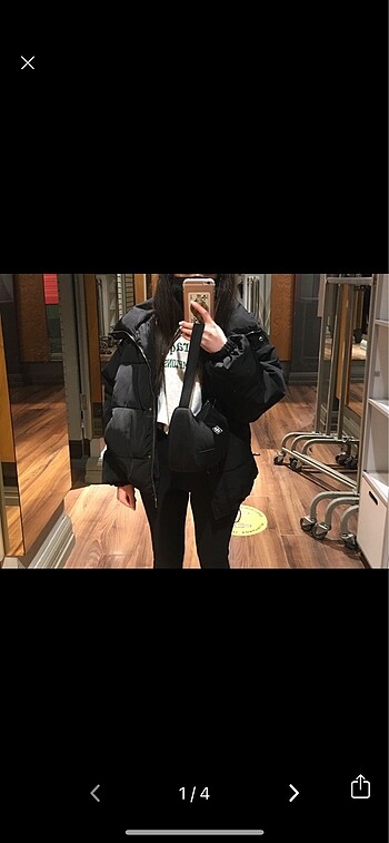 Pull bear mont