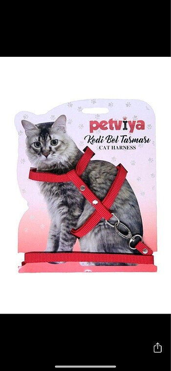 Kırmızı kedi bel tasması