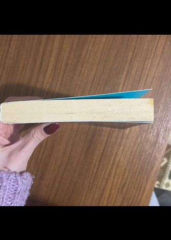 Thomas More - Ütopya Romanı - Görsel 5