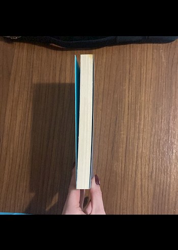 Thomas More - Ütopya Romanı - Görsel 3