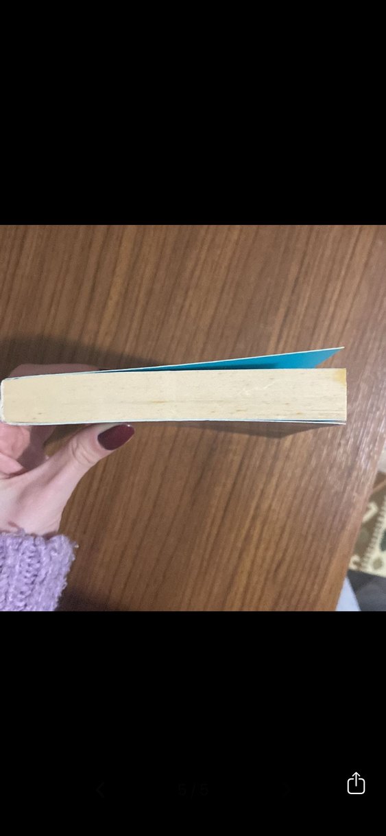 Thomas More - Ütopya Romanı - Görsel 5