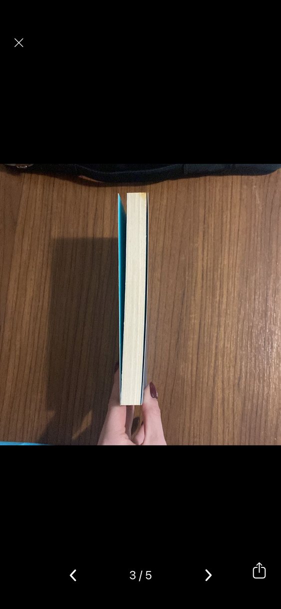 Thomas More - Ütopya Romanı - Görsel 3