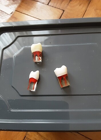 Diş hekimliği endodonti kanallı diş