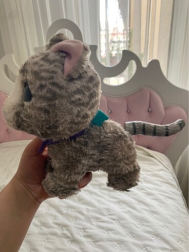 Diğer Sevimli kedi