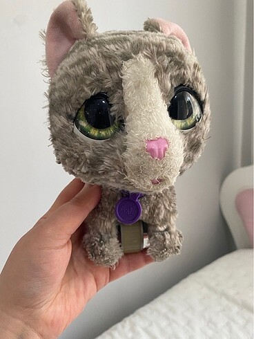 Sevimli kedi
