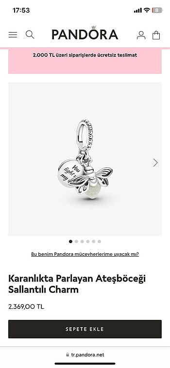 Pandora Pandora karanlıkta parlayan ateş böceği charm