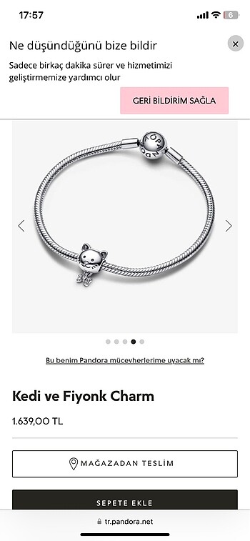Beden gri Renk Kedi ve Fiyonk Charm pandora