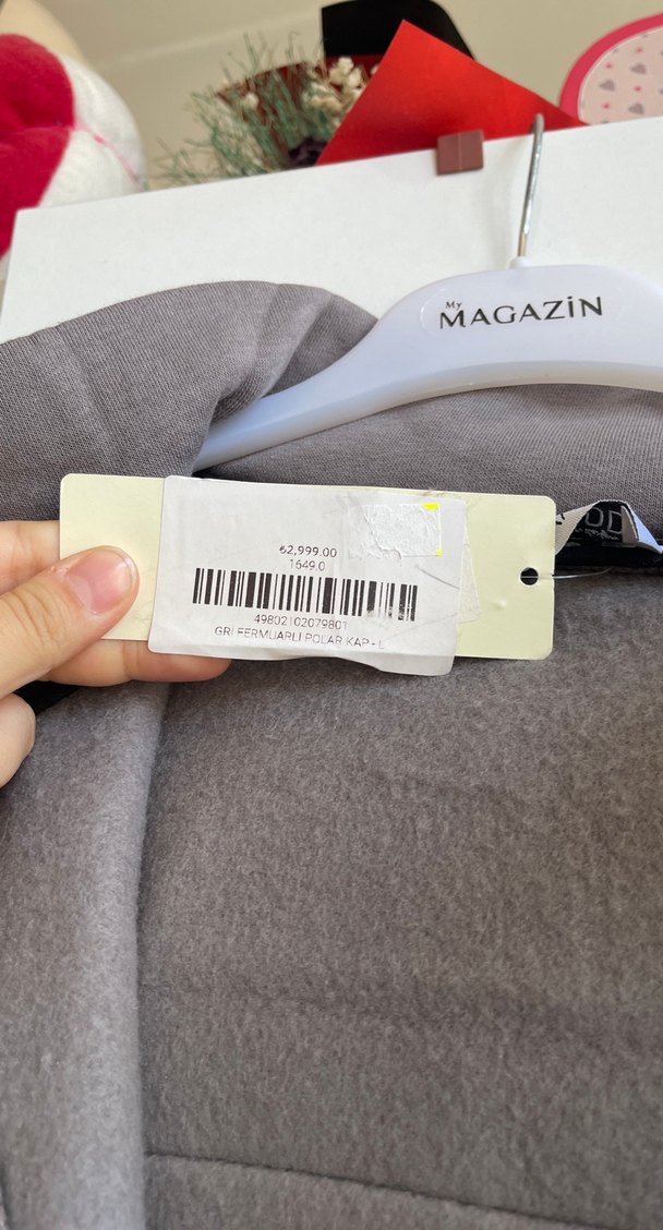 Gri Kapüşonlu Uzun Fermuarlı Kadın Kaban - Görsel 5