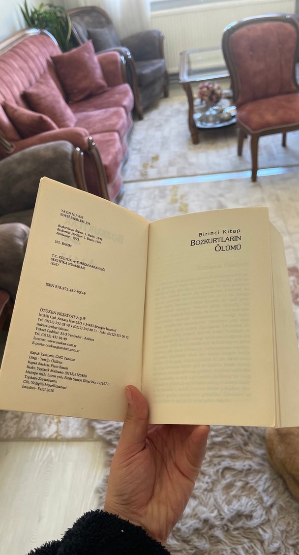 Bozkurtlar - Atsız Roman - Görsel 4