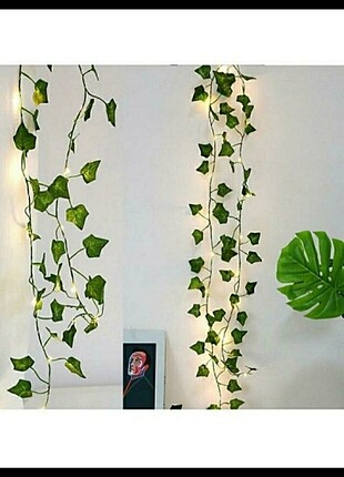 led ışıklı sarmaşık