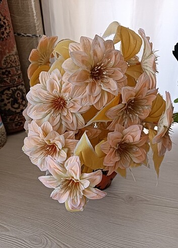 Saksı ve cicek